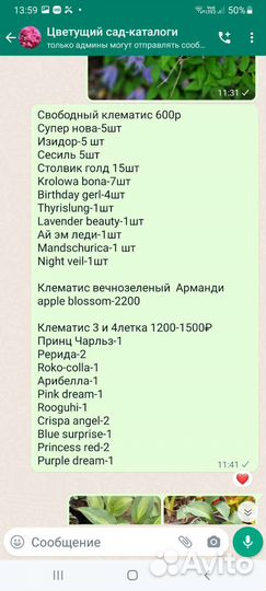 Клематисы