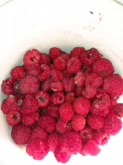 Дача 15 м² на участке 10 сот.