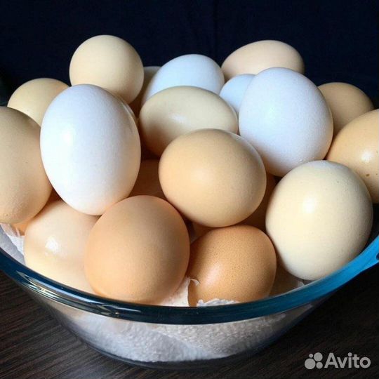 Яйца от домашних кур