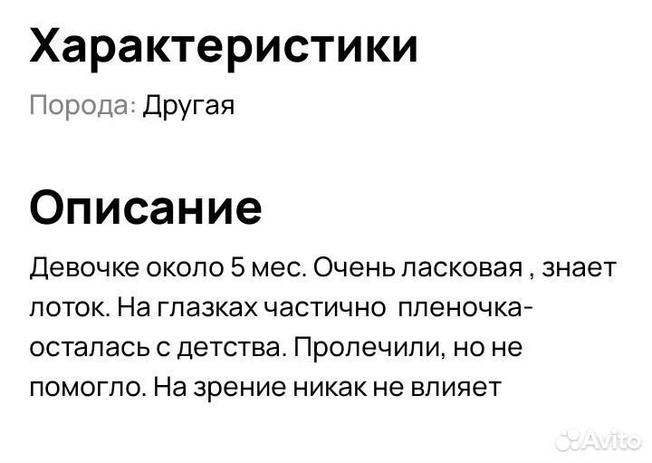 Котенок- девочка