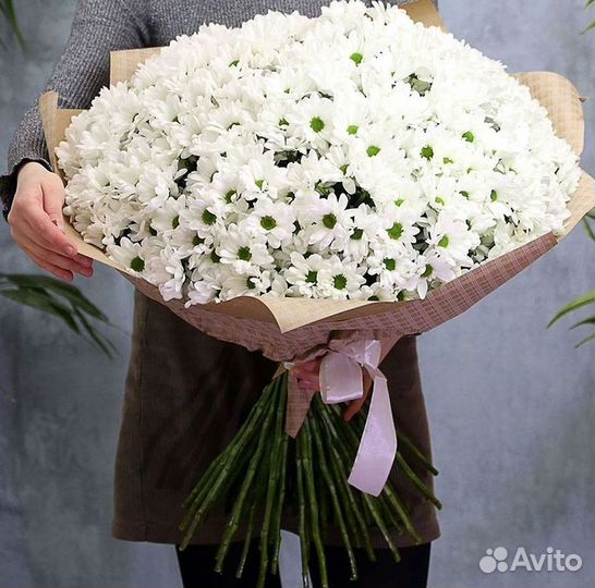 Хризантема Доставка цветов