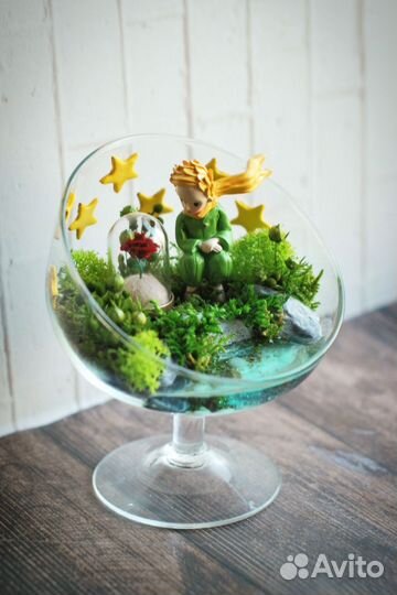 Флорариум моссариум Маленький принц