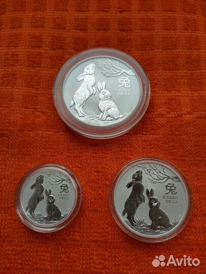 Австралия 2023г Лунар 3 год Кролика
