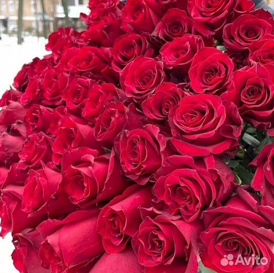 Длинные высокие розы 110 150 160 180 200 см