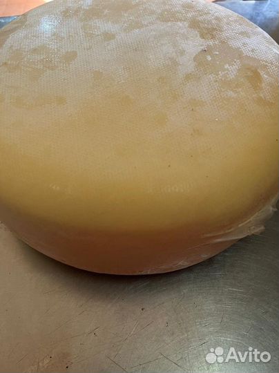 Годовалый сыр Пармезан / Выдержанный сыр