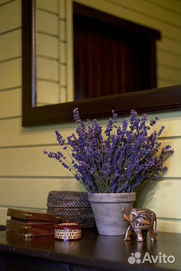 Лаванда, букет, цветы