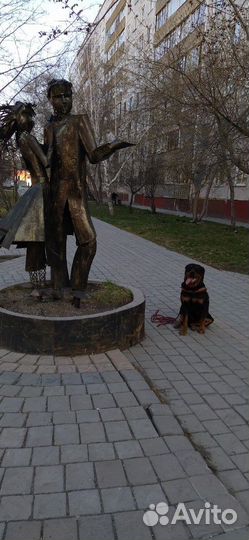 Вязка
