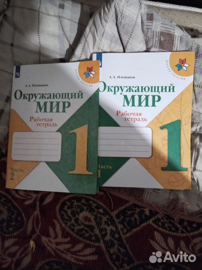 Рабочая тетрадь окружающий мир плешаков 1 класс