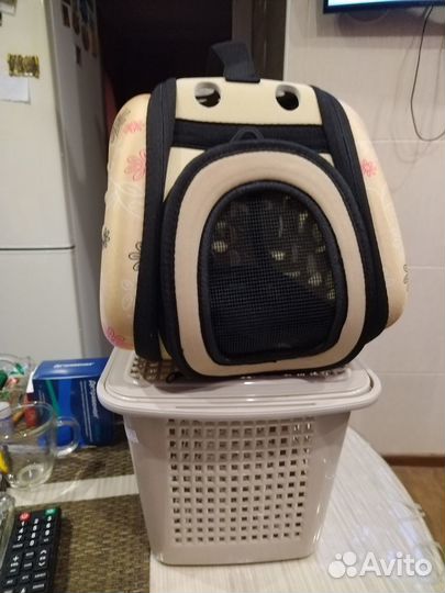 Лежанки, переноски, туалеты для животных