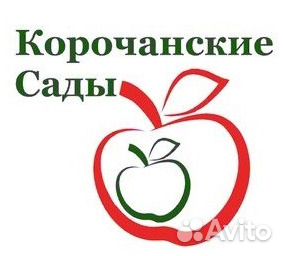 Начальник производства (консервный завод)