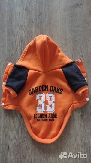 Одежда для собак