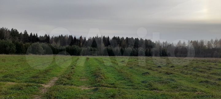 Участок 6 сот. (ИЖС)