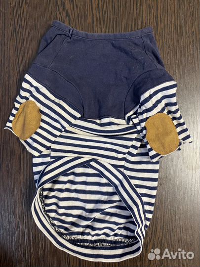 Одежда для собак