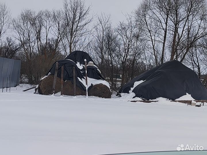 Сено люцерны в тюках. Сено луговое