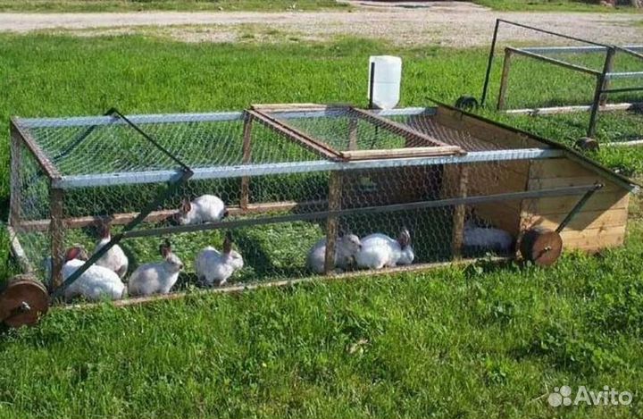 Фермерское хозяйство в собственность с домом