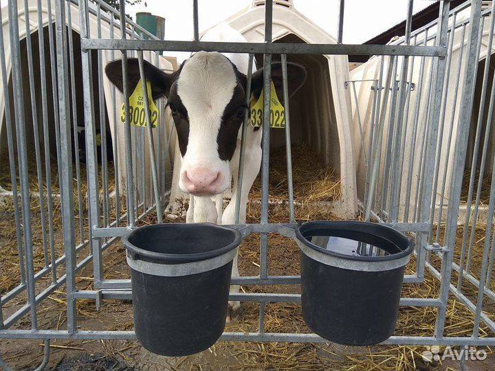 Разнорабочий на ферму (питание/проживание)