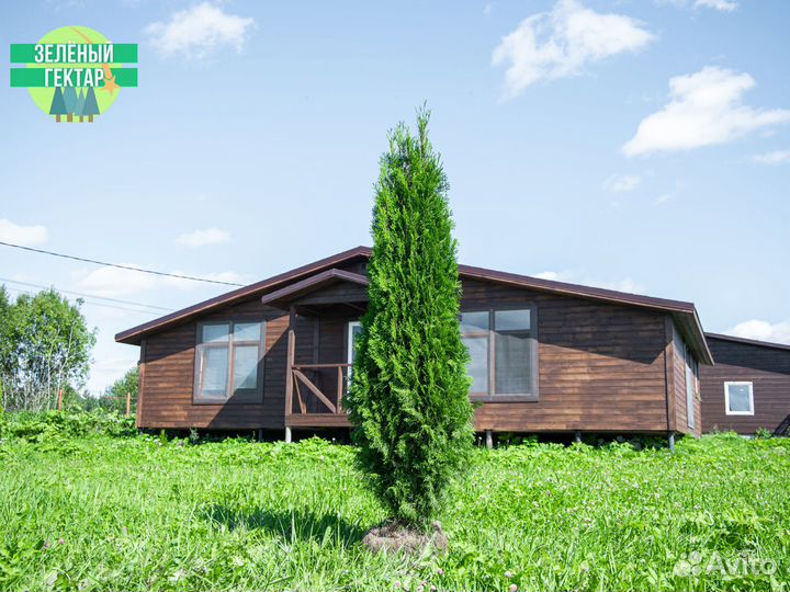 Туя колумна 200 см свежая копка 2023