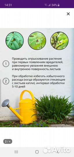 Зеленое мыло