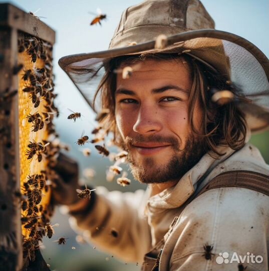 Мёд натуральный из Алтая оптом от 16 кг