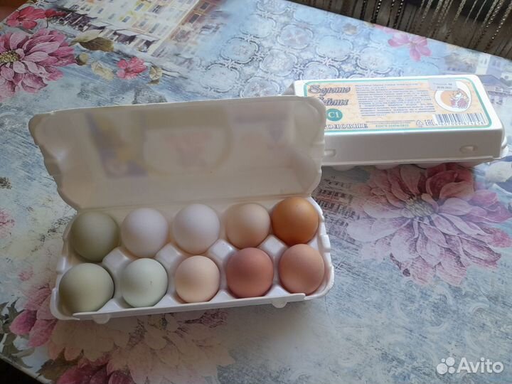 Домашние куриные яйца