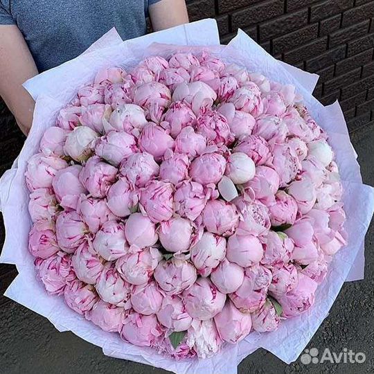 Букет из 101ш пионы с доставка