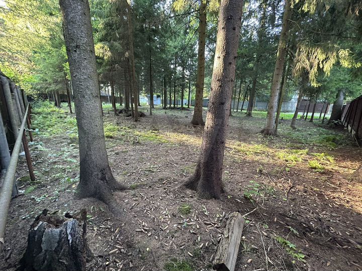 Участок 8 сот. (ИЖС)