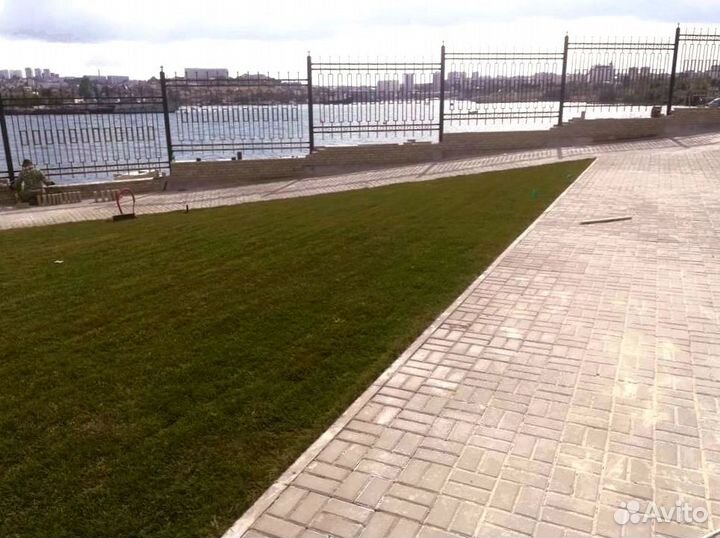 Рулонный газон