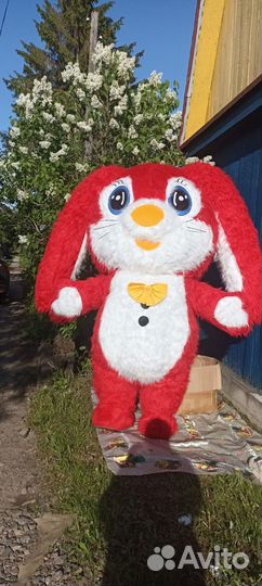 Ростовой костюм зайца