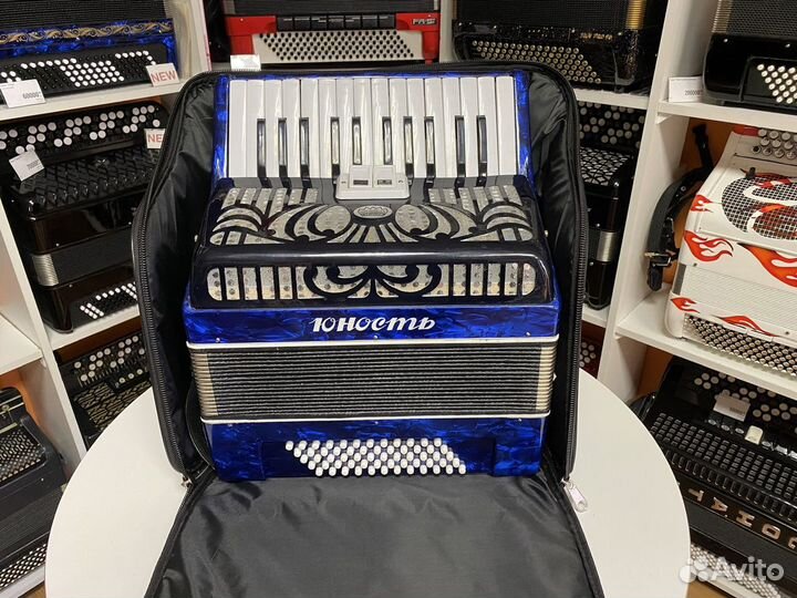 Чехол для аккордеона