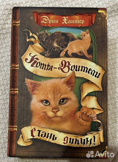 Коты-Воители