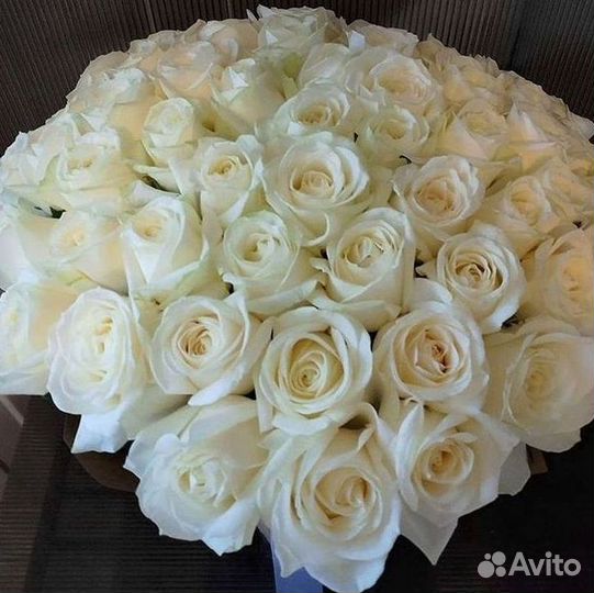 Высокие Розы с Доставкой