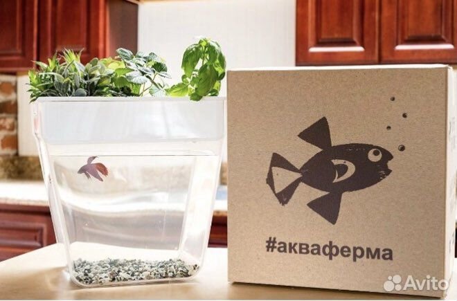 Акваферма. Аквариум. Новый.Экоаквариум. Флорариум