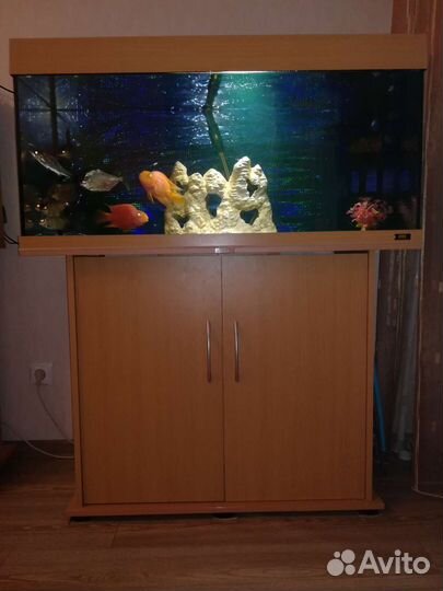 Аквариумы с оборудованием. Декорациями и рыбками