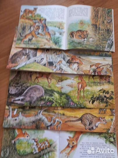 Приключение слоненка