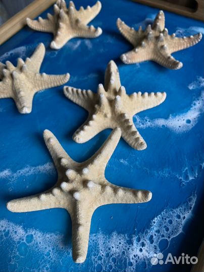 Морская звезда