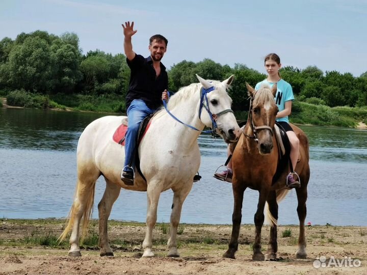 Прогулки верхом,урокиве,пони-клуб,отдых на природе