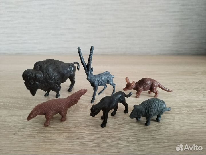 Звери пнр Животные СССР Зоопарк Тамбов Африка фхи