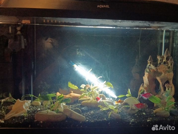 Аквариум Акваэль+грунт, 117 л р-р 82x42x35