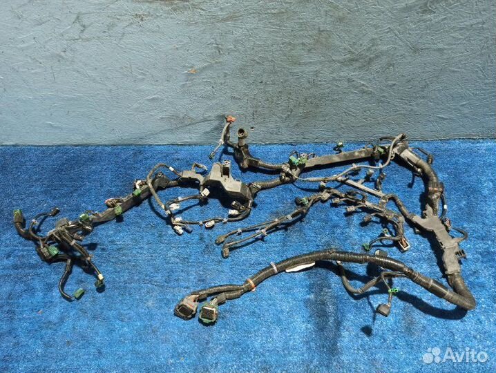 Проводка двигателя Honda Crosstour