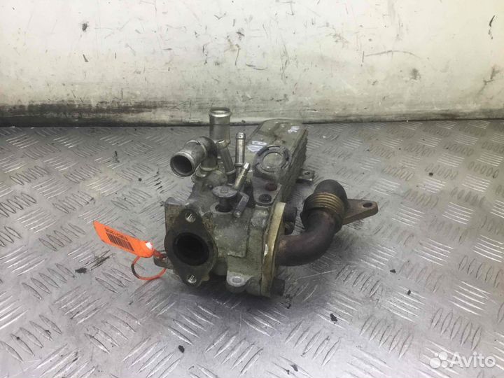 Радиатор EGR Сеат Альтея 03g131513j Bkd