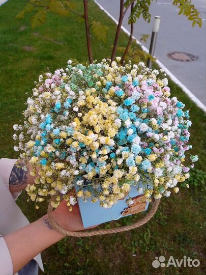 Композиция из радужной гипсофилы