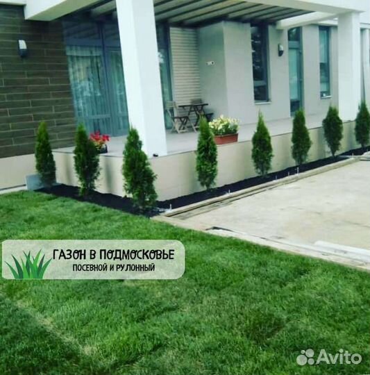 Рулонный газон