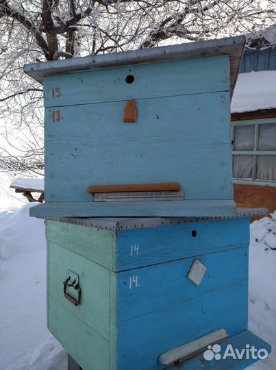 Ульи для пчел