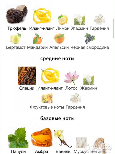 Spirit of Kings Altair распив