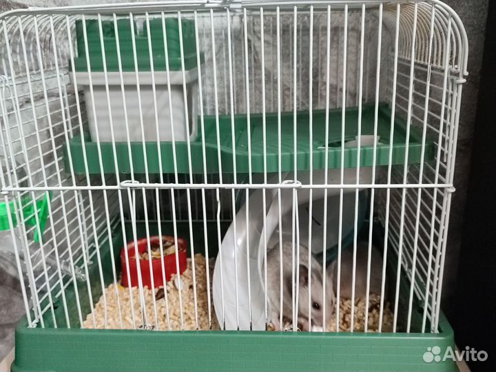 Клетка для хомяка