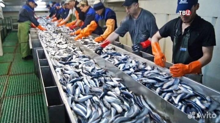 Упаковщик на вахту от 30 смен