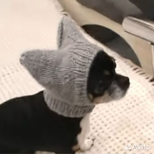 Шапочка для собаки