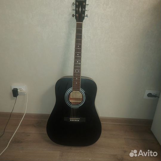 Акустическая гитара parkwood W81 BKS