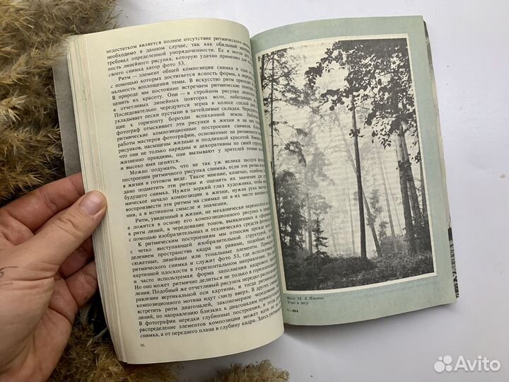 Дыко Основы композиции в фотографии