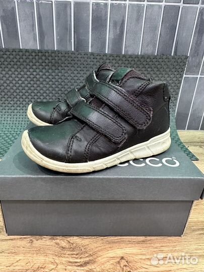 Ботинки демисезонные ecco